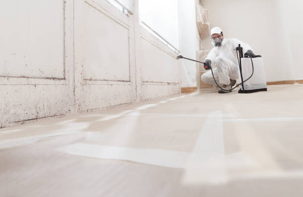 24/7 Emergency Basement Mold Removal experts in Sterling, CO