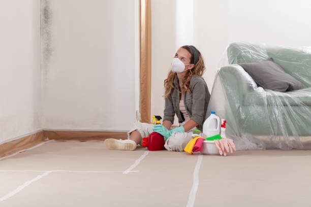 Reliable Basement Mold Removal contractor in Sterling, CO by WQB Mold Removal